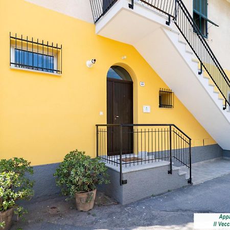 Agriturismo Le Girandole Diano Marina Kültér fotó